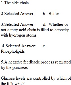 Chapter 4, 5, 6 Quiz